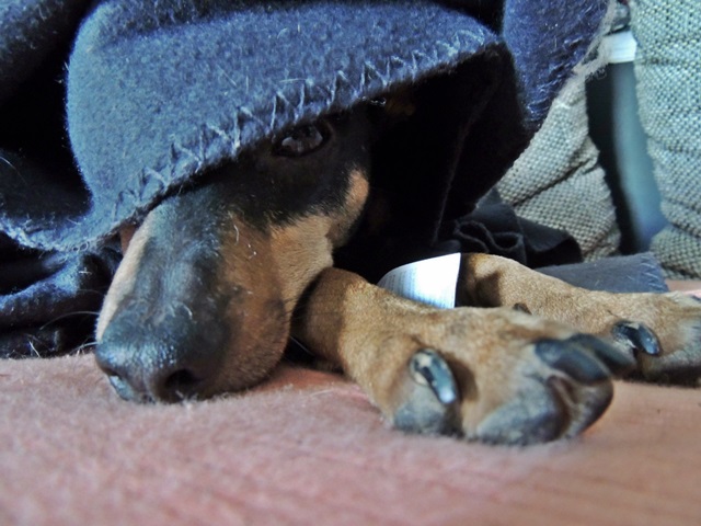 DSCN6488.JPG