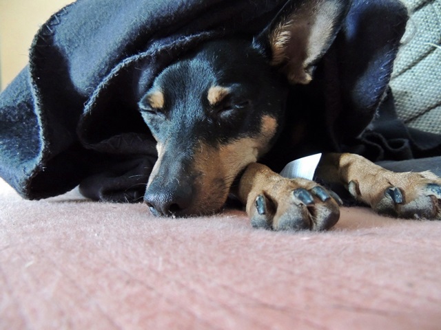 DSCN6489.JPG