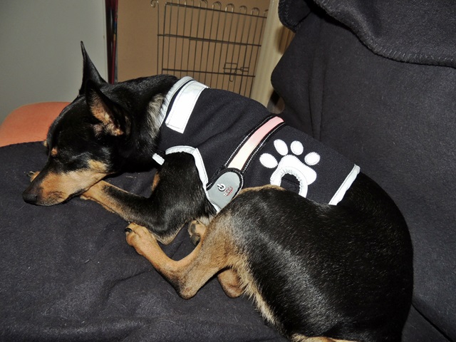 DSCN6493.JPG