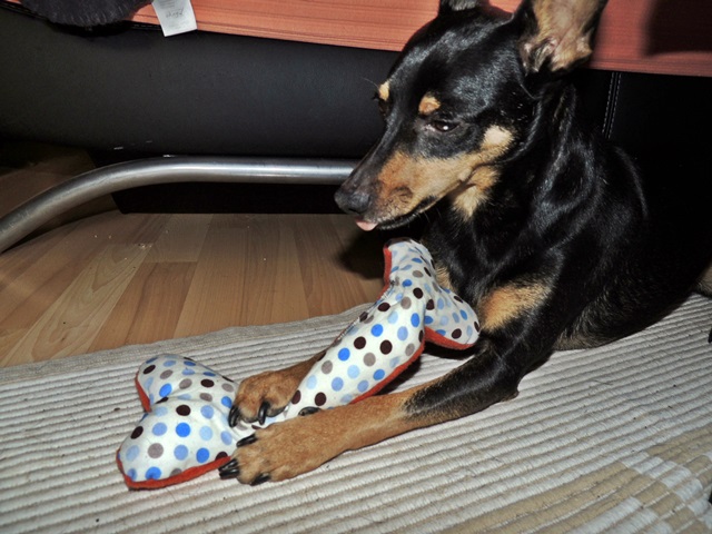 DSCN6506.JPG