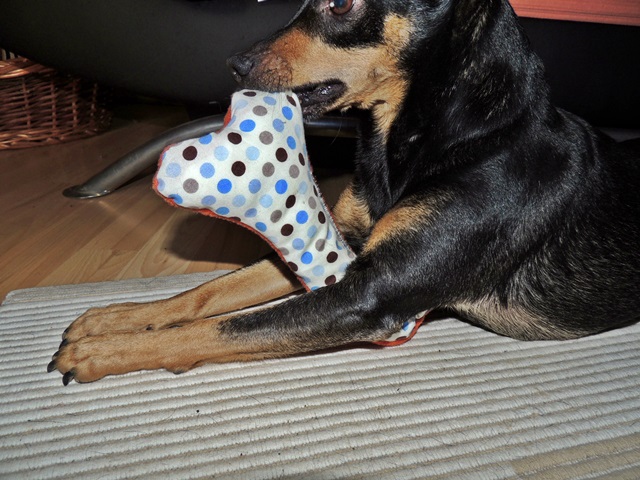 DSCN6507.JPG