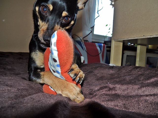 DSCN6513.JPG