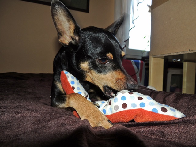 DSCN6514.JPG