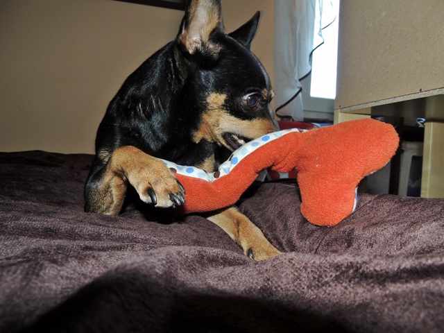 DSCN6515.JPG