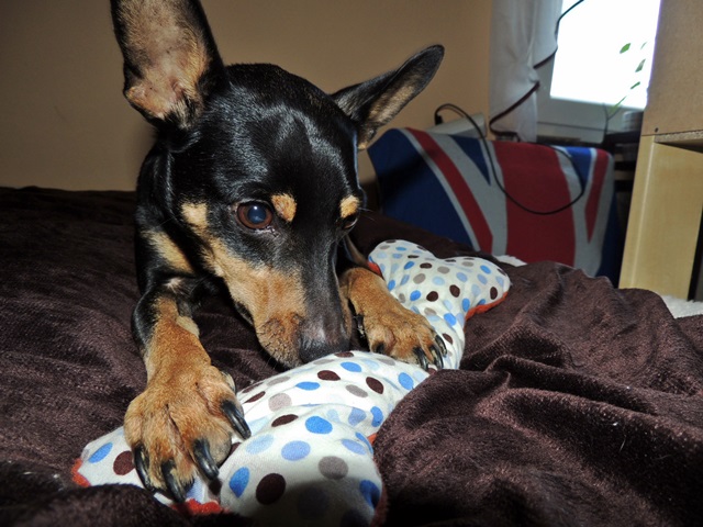 DSCN6520.JPG