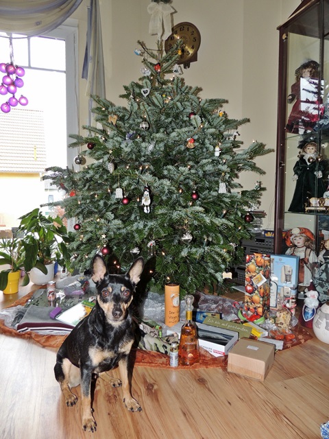 DSCN6530.JPG