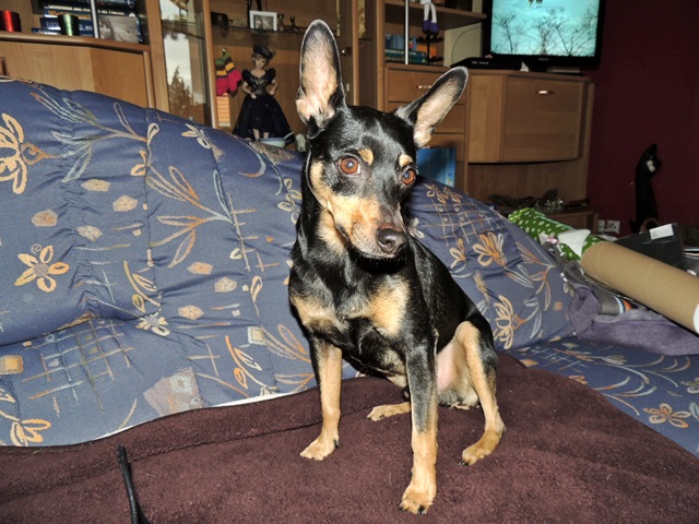 DSCN6531.JPG