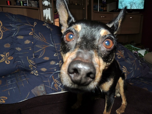 DSCN6532.JPG