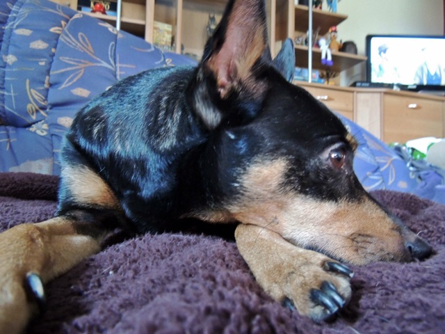 DSCN6533.JPG
