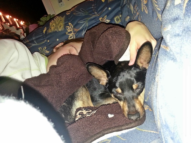 20131225_171107.jpg