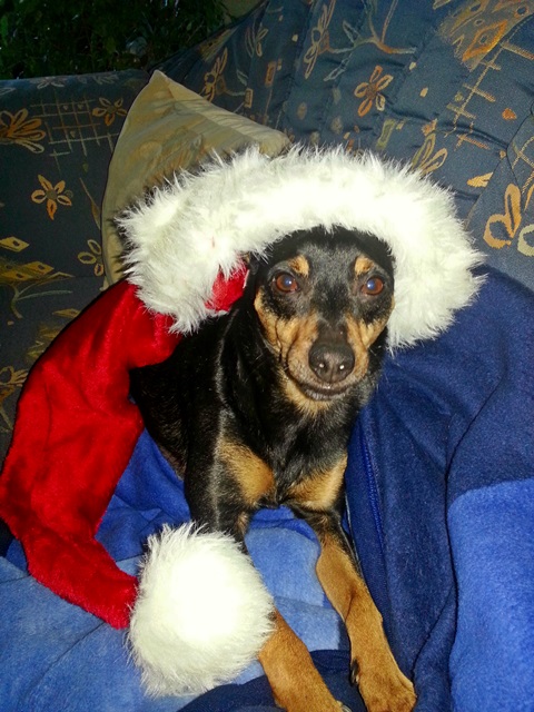 20131227_092853.jpg
