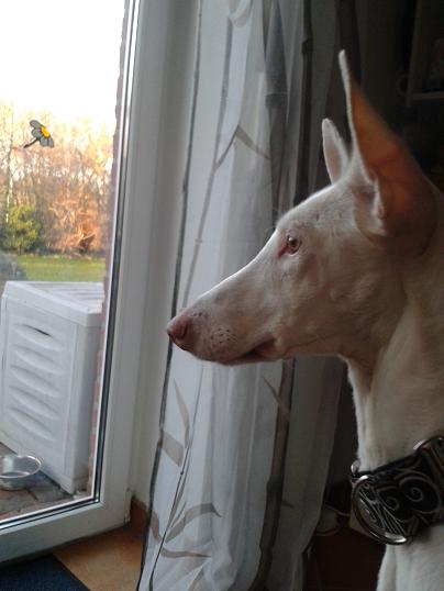 20131223_095647.jpg