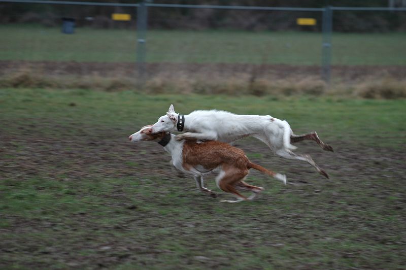 Der Knutschkuller still in Äkschn...