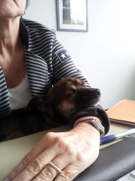 20131230_125014.jpg