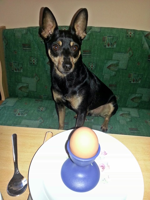 20131227_102706.jpg