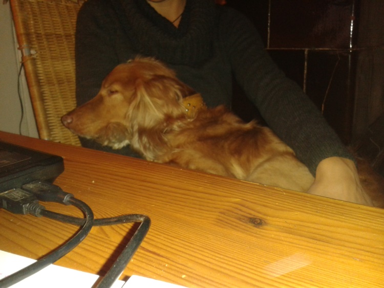 20140101_101800.jpg
