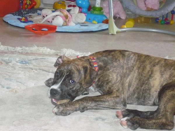 lennox 001.jpg