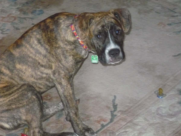lennox 006.jpg