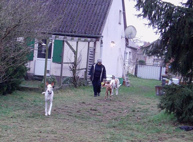 IMAG0010.JPG