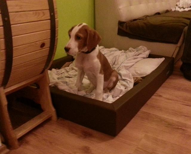 20131230_184218.jpg