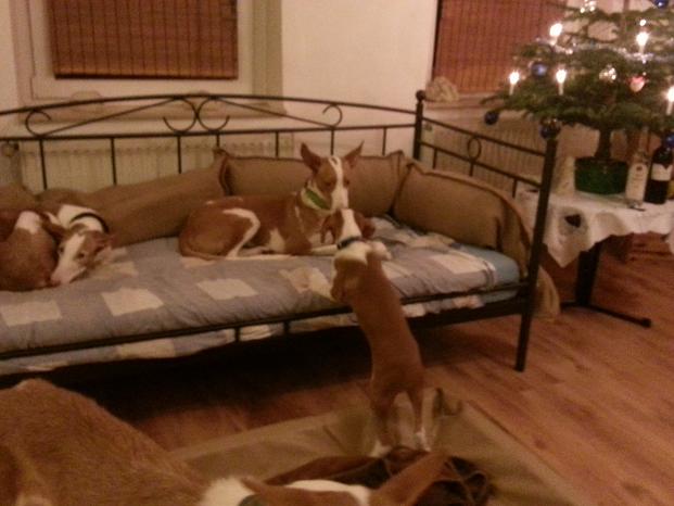 20131230_184324.jpg