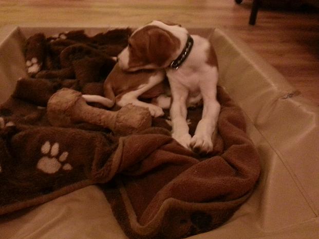 20131230_184444.jpg