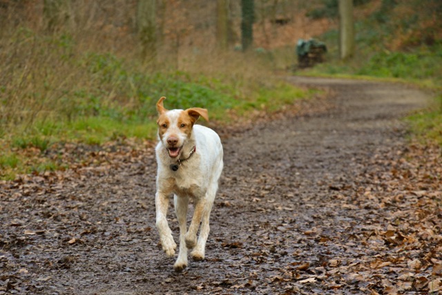 DSC_0464-klein.jpg