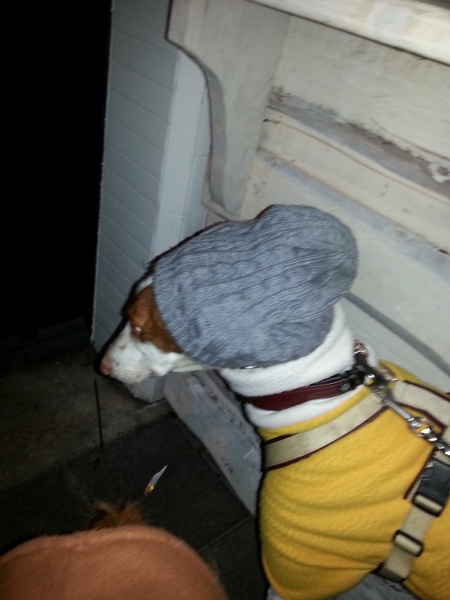 20131228_201537.jpg