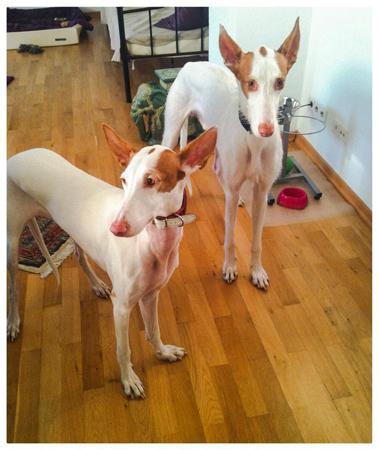Fina und Amun.jpg