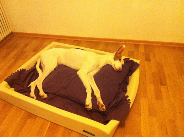 Amunchen.jpg