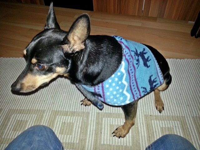 20140107_124144.jpg