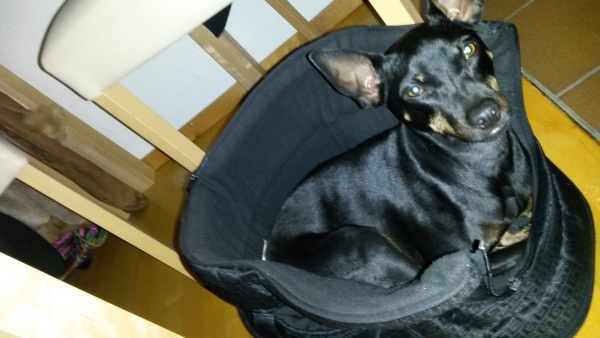 tasche.jpg