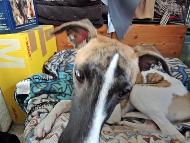 DSCN6586.JPG