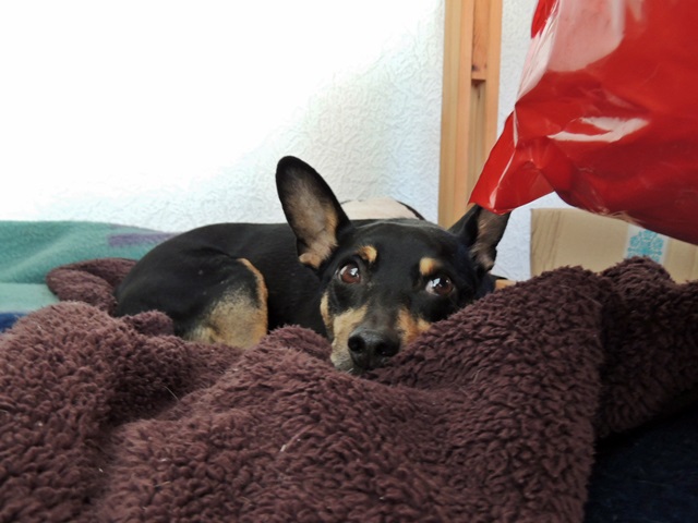 DSCN6587.JPG