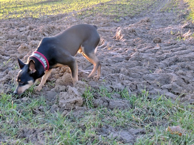 DSCN6581.JPG