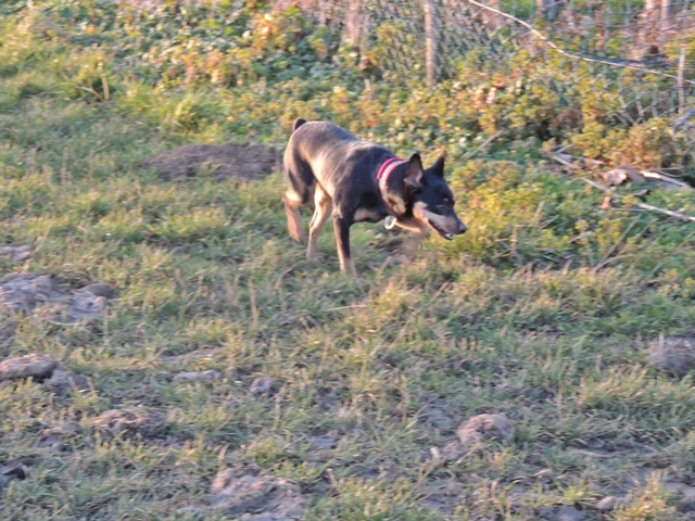 DSCN6579.JPG