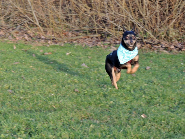 DSCN6546.JPG