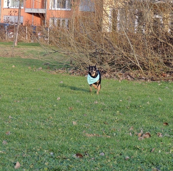 DSCN6543.JPG