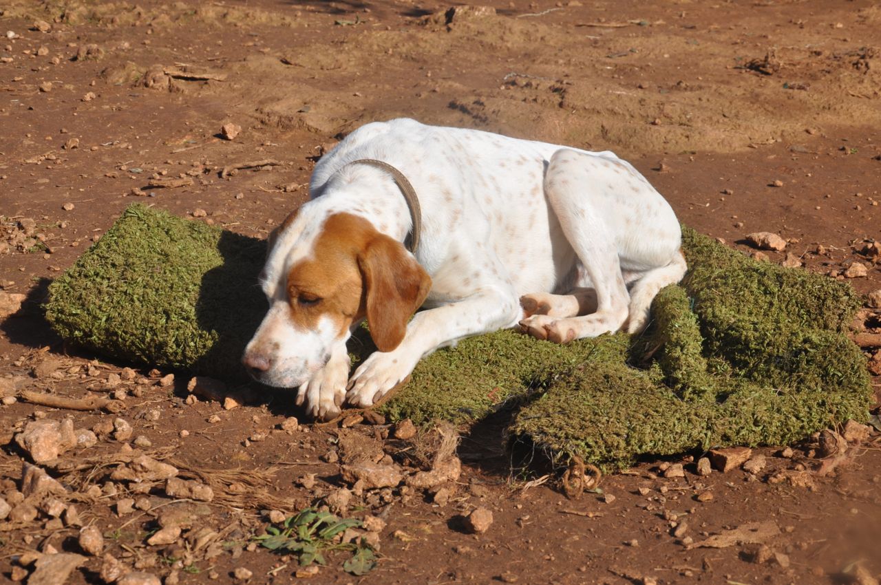 DSC_7603.jpg