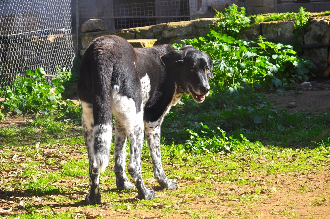 DSC_7677.jpg