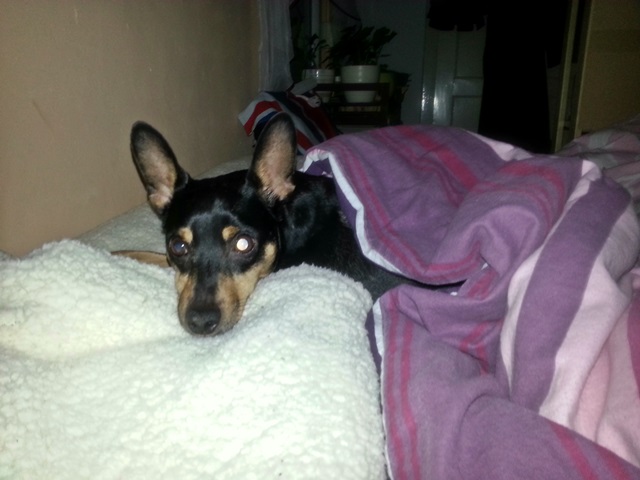 20140114_074728.jpg