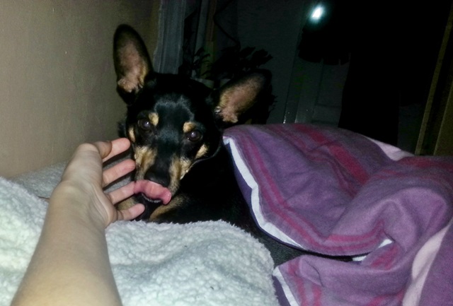 20140114_074741.jpg