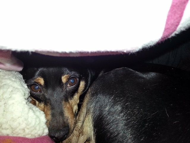 20140117_075657.jpg
