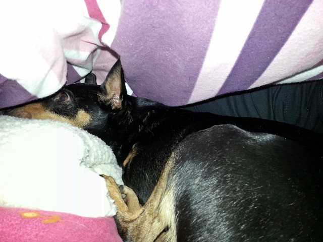 20140117_075808.jpg
