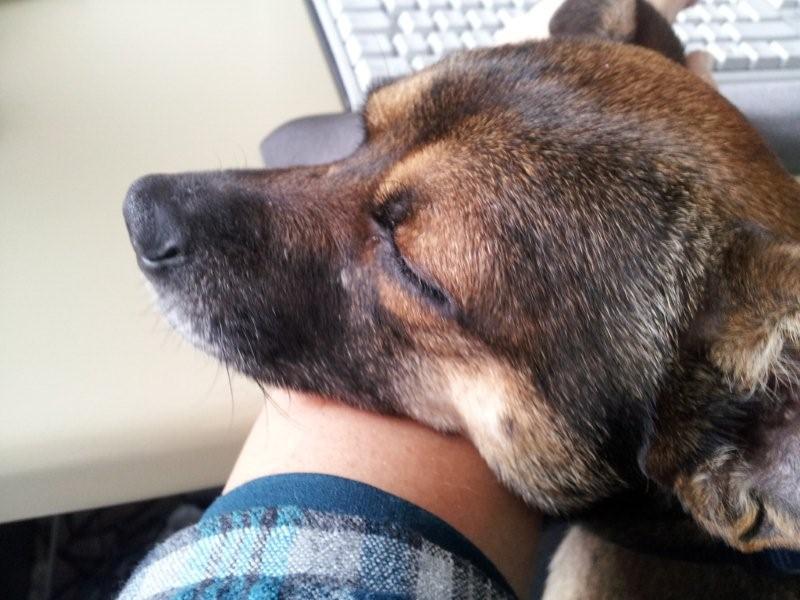 20140116_112642.jpg
