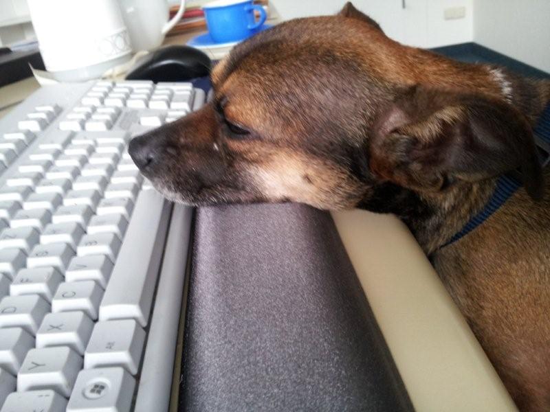 20140116_113902.jpg