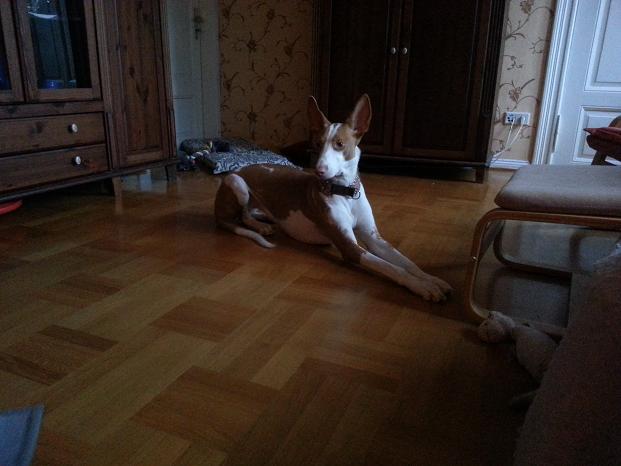 20140116_151306.jpg