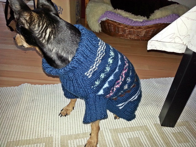 20140118_121451.jpg