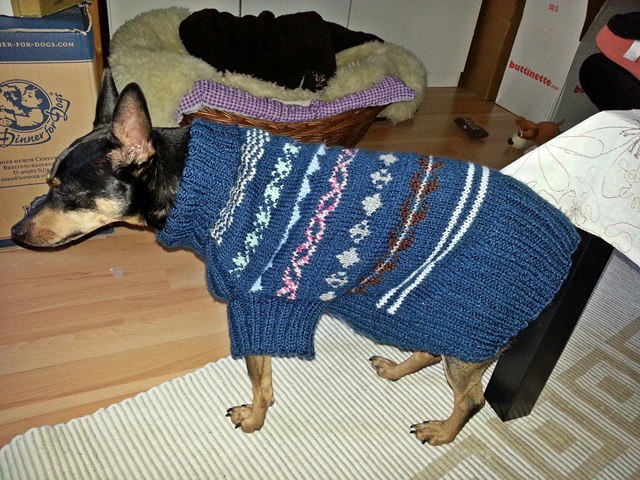 20140118_121531.jpg