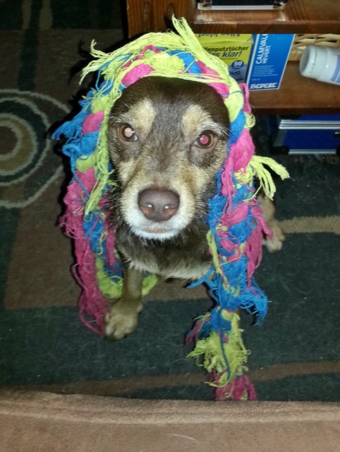 20140118_173408.jpg